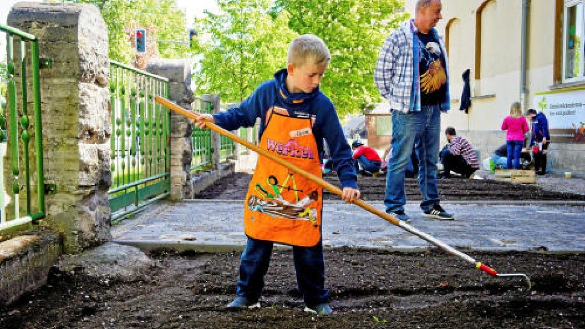 Unterstützt von der Gemüseakademie Potsdam legten die Hufeland-Grundschüler in Bad Langensalza am Montag Beete mit Salat, Fehnchel und Pastinaken an. Verwendet wurde ausschließlich Biosaatgut. TA-Foto: Daniel Volkmann