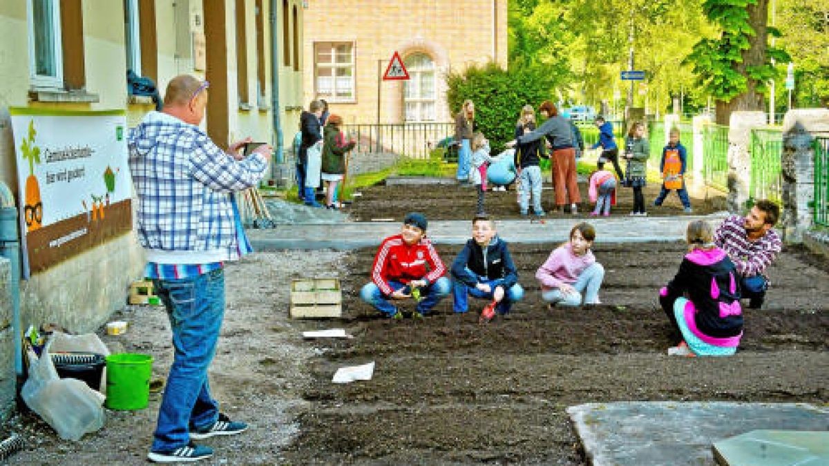 Unterstützt von der Gemüseakademie Potsdam legten die Hufeland-Grundschüler in Bad Langensalza am Montag Beete mit Salat, Fehnchel und Pastinaken an. Verwendet wurde ausschließlich Biosaatgut. TA-Foto: Daniel Volkmann