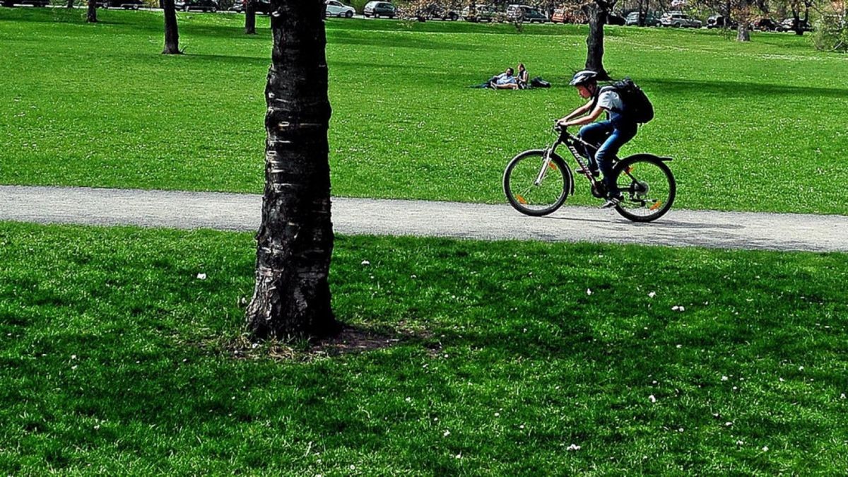 Der Nordpark in Erfurt wird in nächster Zeit für die Buga 2021 umgestaltet und erweitert.