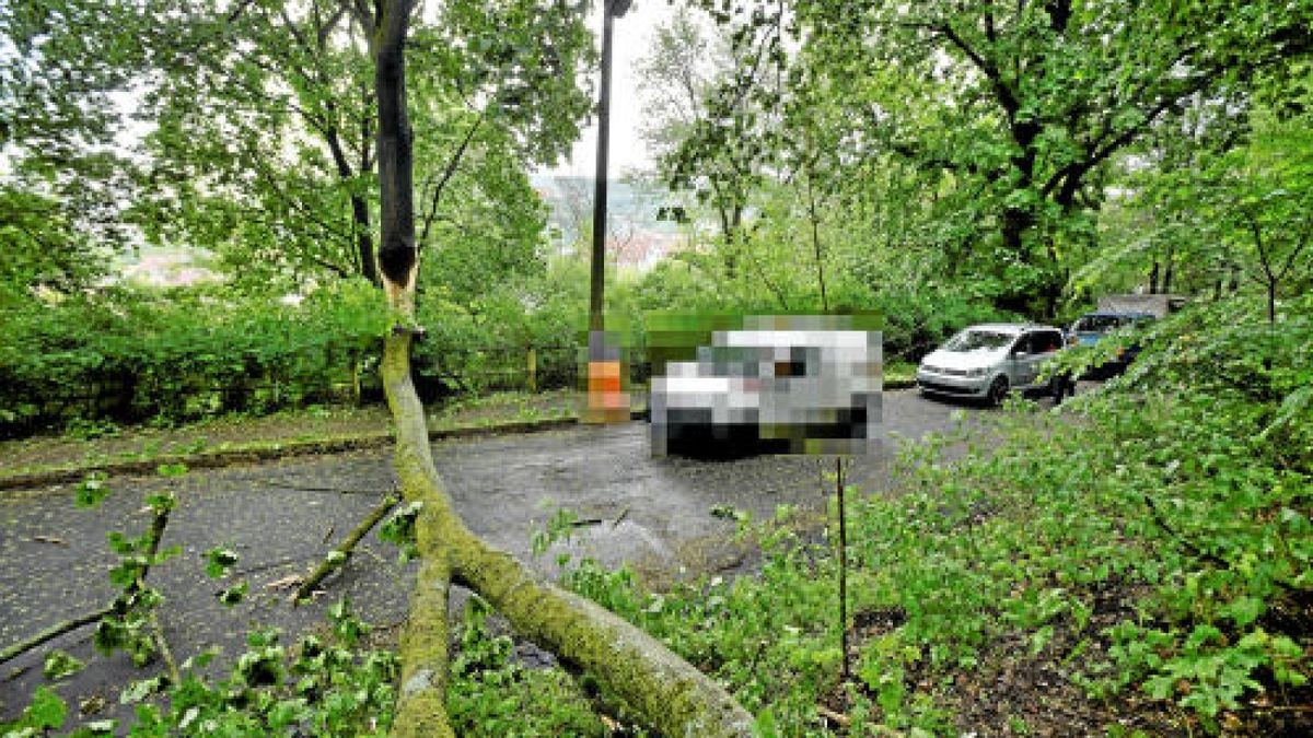 Aufgrund des Starkregens ist in der Moritz-Mitzenheim-Straße in Eisenach ein Baum auf die Straße gestürzt. Foto: Norman Meißner