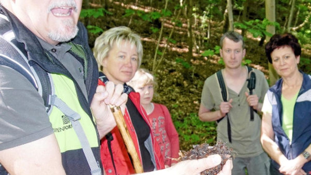 An vielen Stellen lenkte Förster Ralf Hubert den Blick der   50 Naturfreunde beim TA-Familienwandertag in die Natur entlang des Weges – und dabei auch auf Dürreschäden.Foto: Timo Götz (6)