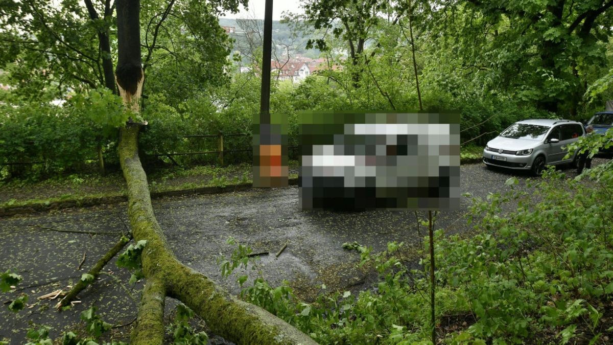 Aufgrund des Starkregens ist in der Moritz-Mitzenheim-Straße in Eisenach ein Baum auf die Straße gestürzt.