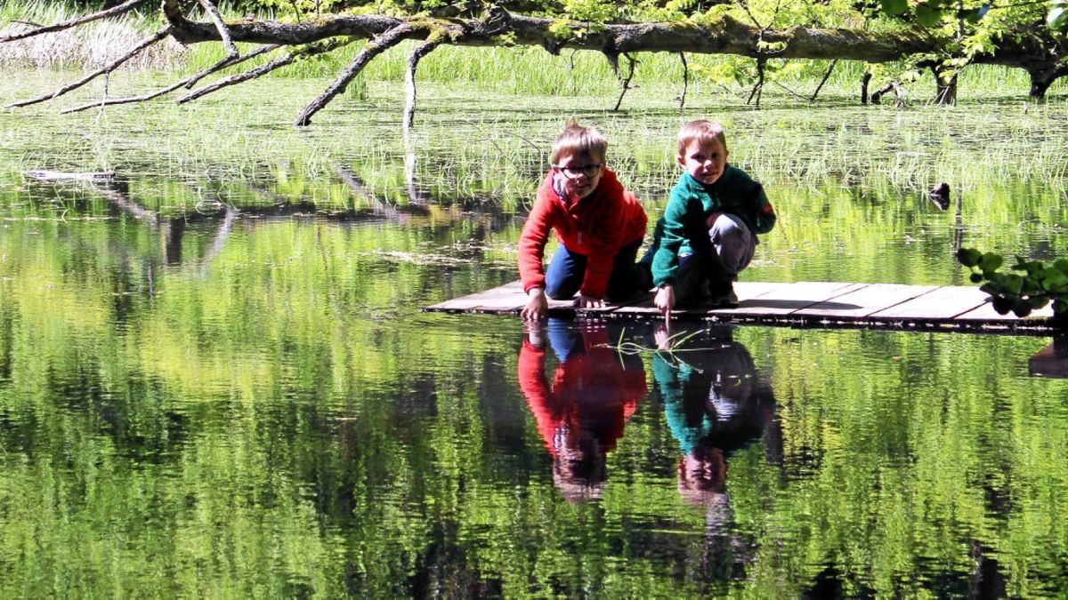 Edgar (7) und Gregor (5) aus Kirchheilingen gehen dem Hünenteich auf den Grund.