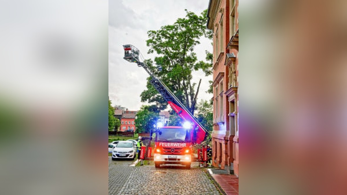 Äste eines Baumes sind am Kiliansgraben 10 in Mühlhausen abgeknickt und haben das Auto eines Pflegedienstes beschädigt. Foto: Daniel Volkmann