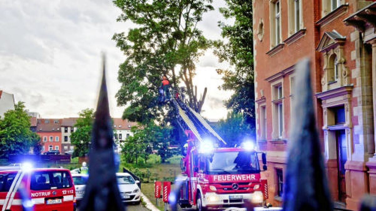 Äste eines Baumes sind am Kiliansgraben 10 in Mühlhausen abgeknickt und haben das Auto eines Pflegedienstes beschädigt. Foto: Daniel Volkmann