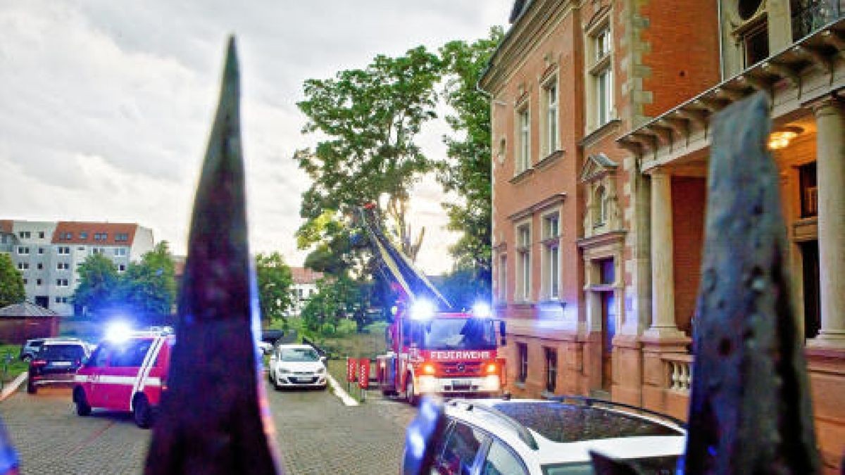 Äste eines Baumes sind am Kiliansgraben 10 in Mühlhausen abgeknickt und haben das Auto eines Pflegedienstes beschädigt. Foto: Daniel Volkmann