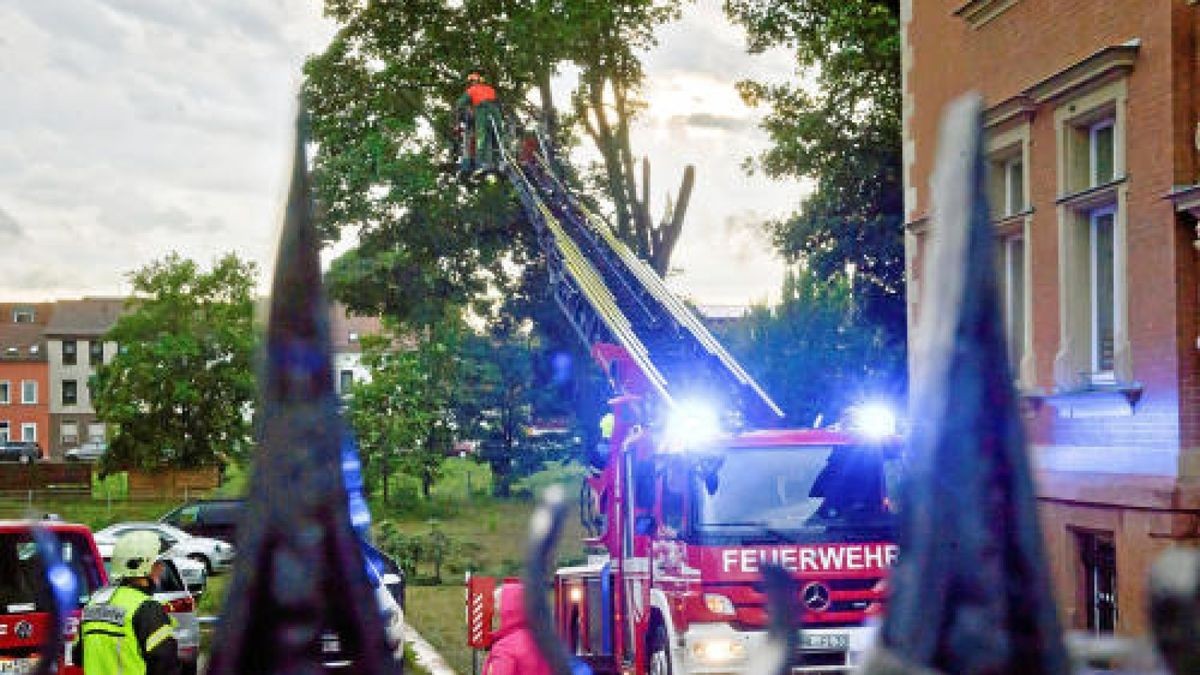 Äste eines Baumes sind am Kiliansgraben 10 in Mühlhausen abgeknickt und haben das Auto eines Pflegedienstes beschädigt. Foto: Daniel Volkmann