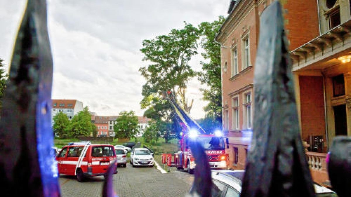 Äste eines Baumes sind am Kiliansgraben 10 in Mühlhausen abgeknickt und haben das Auto eines Pflegedienstes beschädigt. Foto: Daniel Volkmann