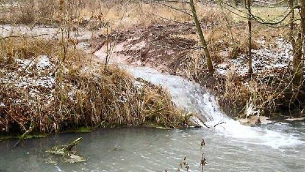 Erdfall bei Bilzingsleben Wie aus einer feuchten Wiese ein Teich wurde