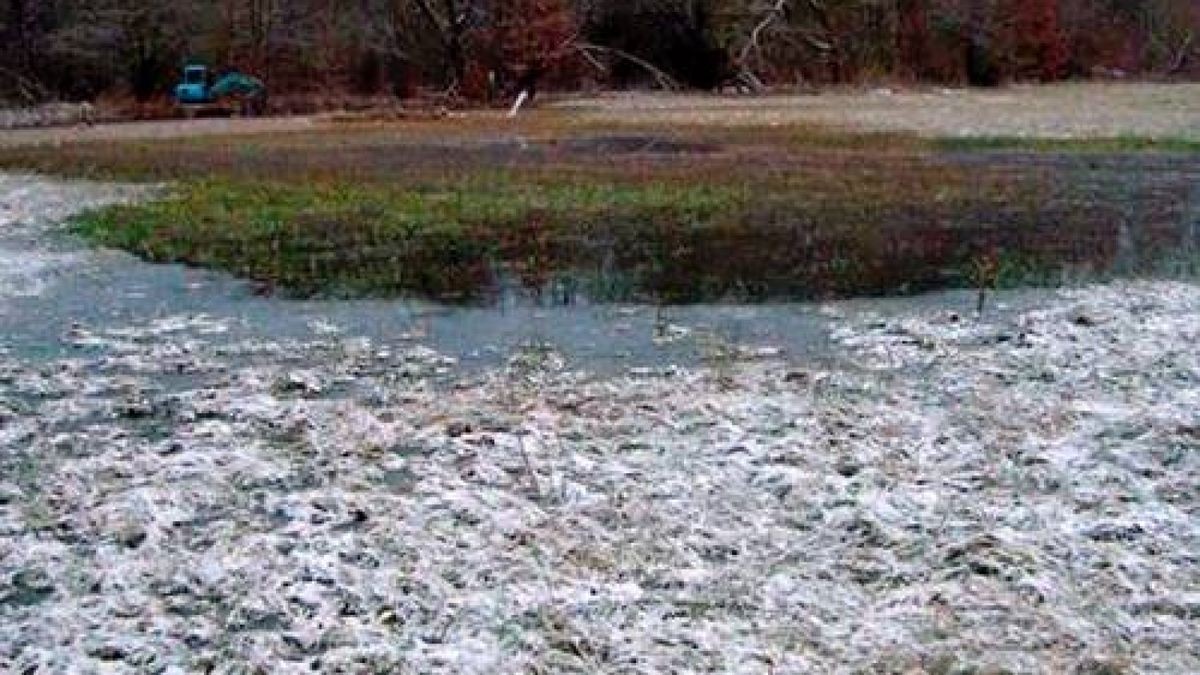 Erdfall bei Bilzingsleben Wie aus einer feuchten Wiese ein Teich wurde