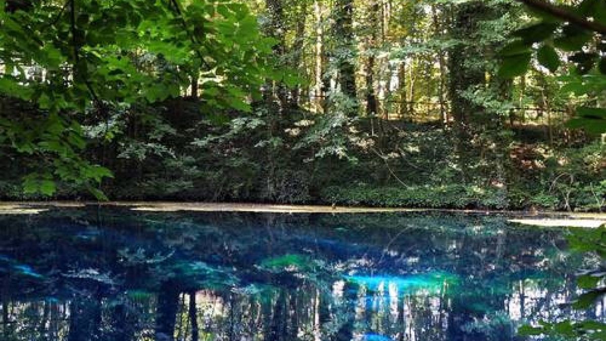 Erdfall bei Bilzingsleben Wie aus einer feuchten Wiese ein Teich wurde