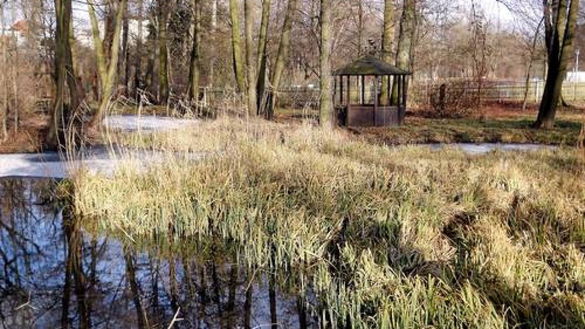 Gothaer Aquarium wurde im Weltkrieg Opfer der Bomben