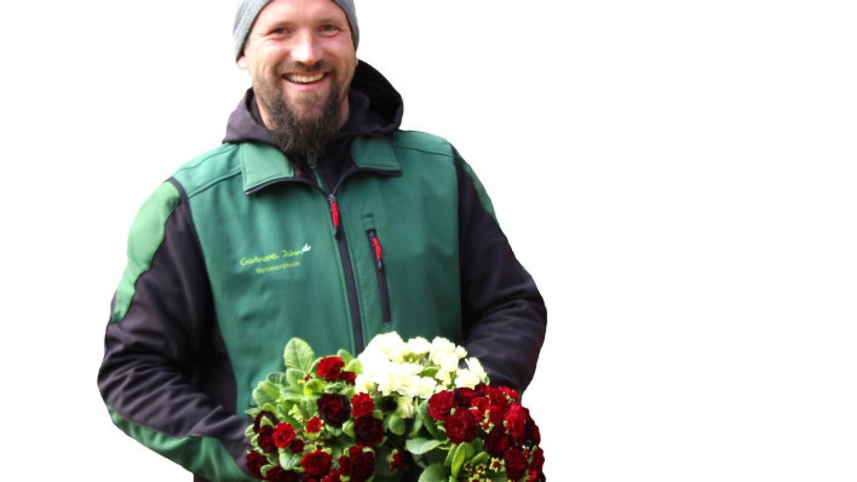Sehnsucht nach den Farben des Frühlings