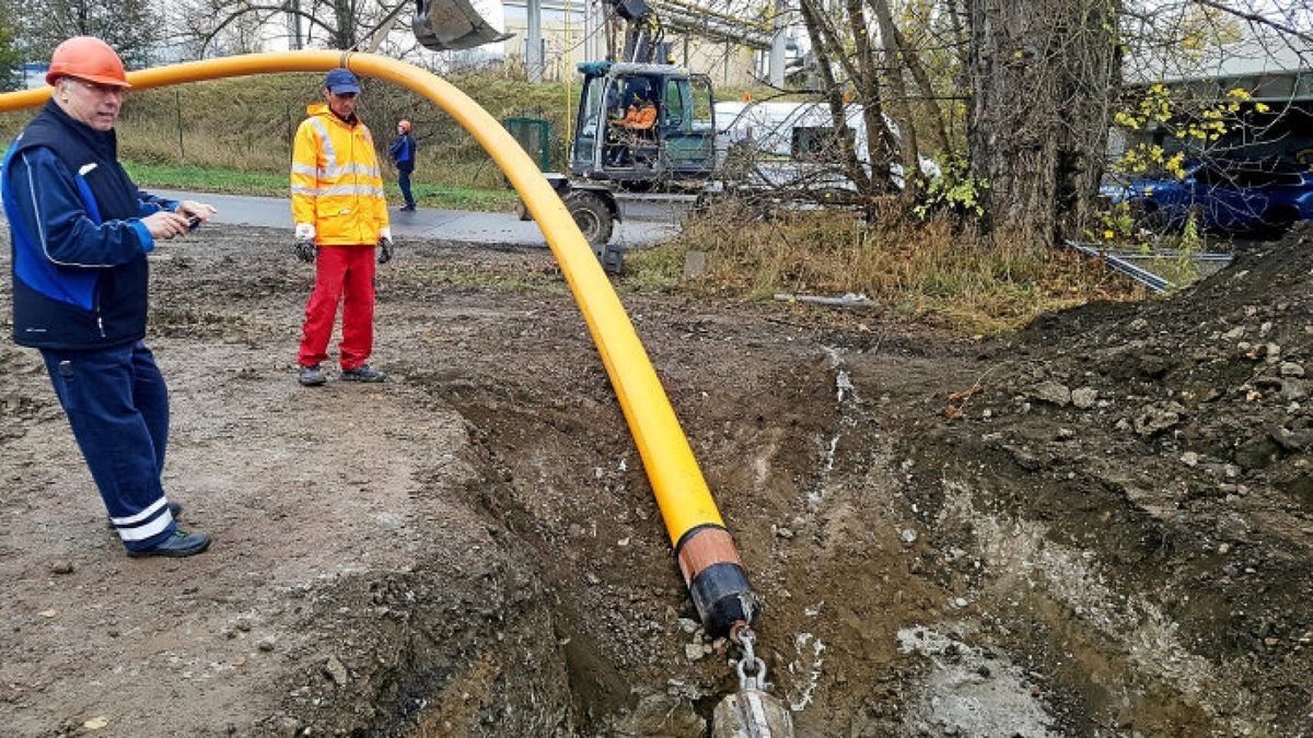 Unternehmen in Ostthüringen Junge Firma aus Bollberg mit Erfolgsgeschichte
