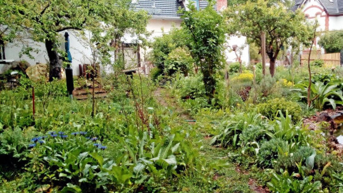 In Bad Tennstedt öffneten Bernd Hornaff und Annett Klunker ihren Garten. Weitere Gartenbesitzer sollen nun ihr grünes Reich öffnen.Foto: Nick Böttner, Erprobungsraum