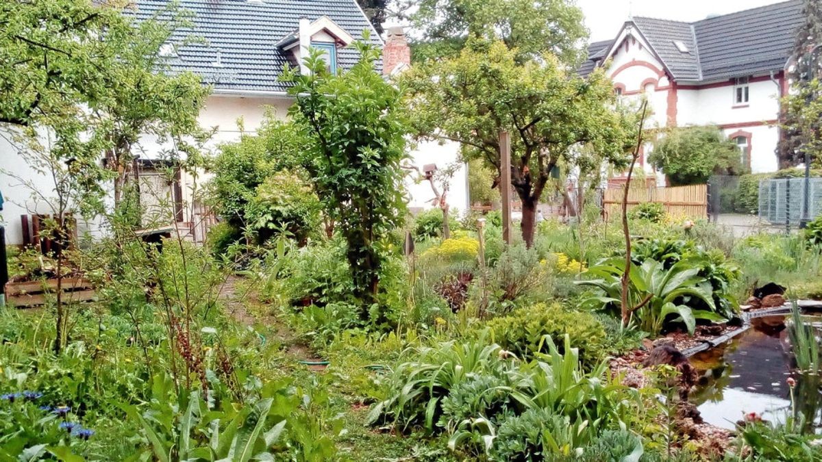 In Bad Tennstedt öffneten Bernd Hornaff und Annett Klunker ihren Garten. Weitere Gartenbesitzer sollen nun ihr grünes Reich öffnen.