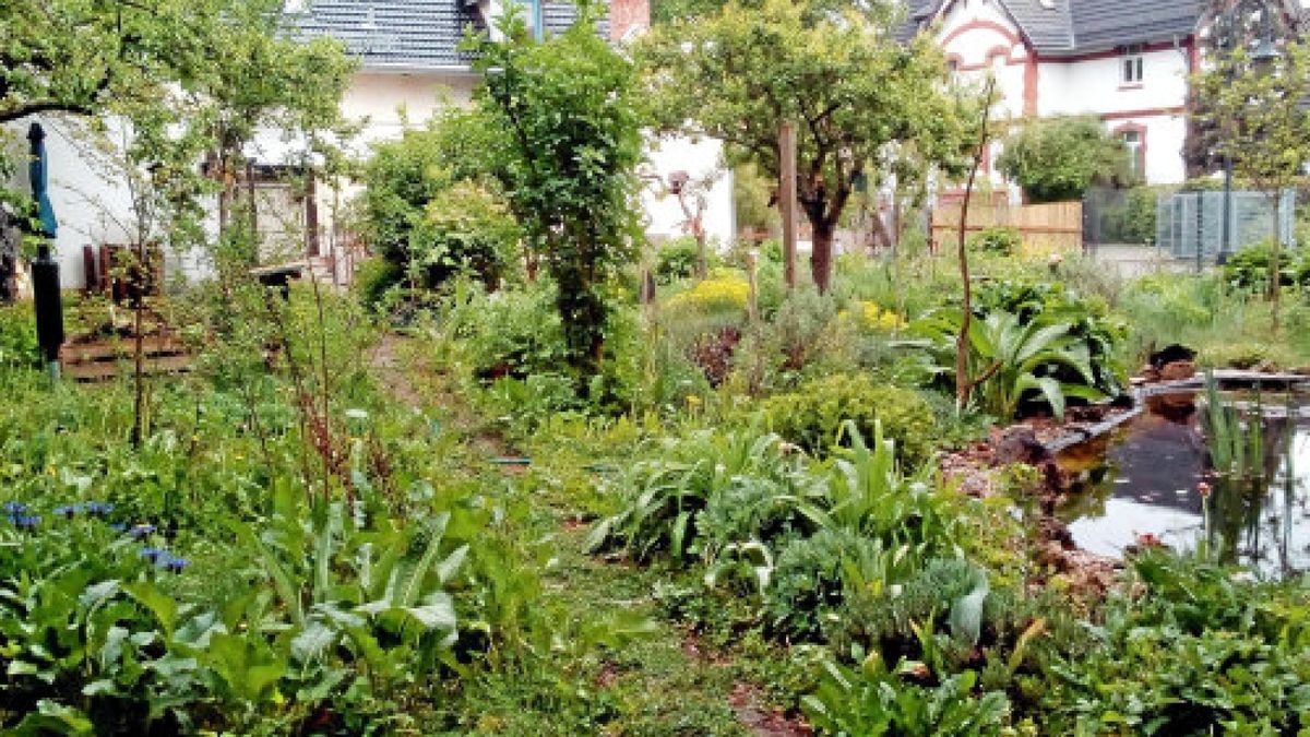 In Bad Tennstedt öffneten Bernd Hornaff und Annett Klunker ihren Garten. Weitere Gartenbesitzer sollen nun ihr grünes Reich öffnen.Foto: Nick Böttner, Erprobungsraum