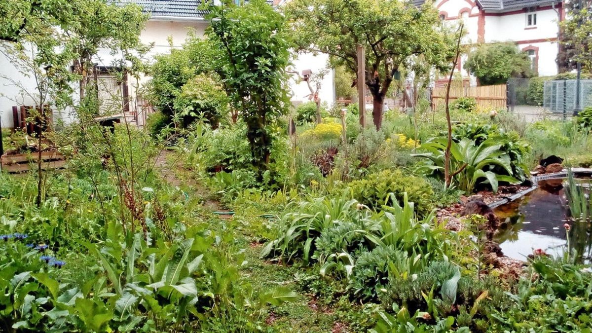 In Bad Tennstedt öffneten Bernd Hornaff und Annett Klunker ihren Garten. Weitere Gartenbesitzer sollen nun ihr grünes Reich öffnen.