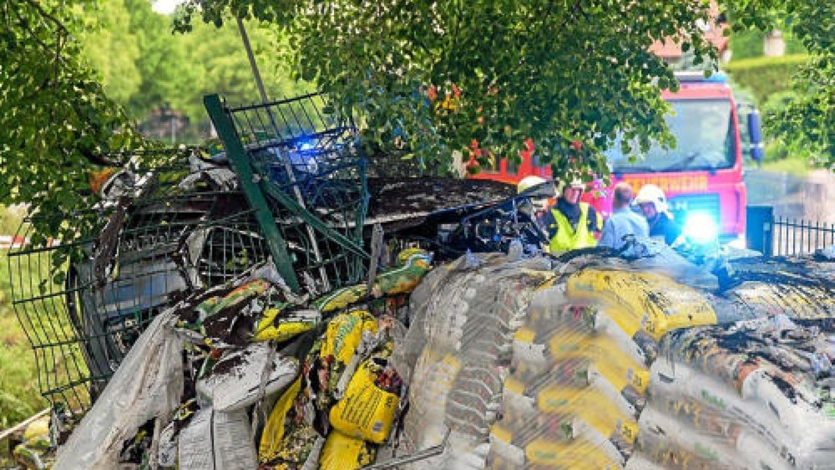 Ein Audi-Fahrer ist Donnerstagabend stadtauswärts aus der Kurve geflogen, über den Fußweg gerast und erst, nachdem er über Hecken und Beete gefahren war, zum Stehen gekommen. Der Mann hatte über 2 Promille Alkohol im Blut. Foto: Stefan Eberhardt