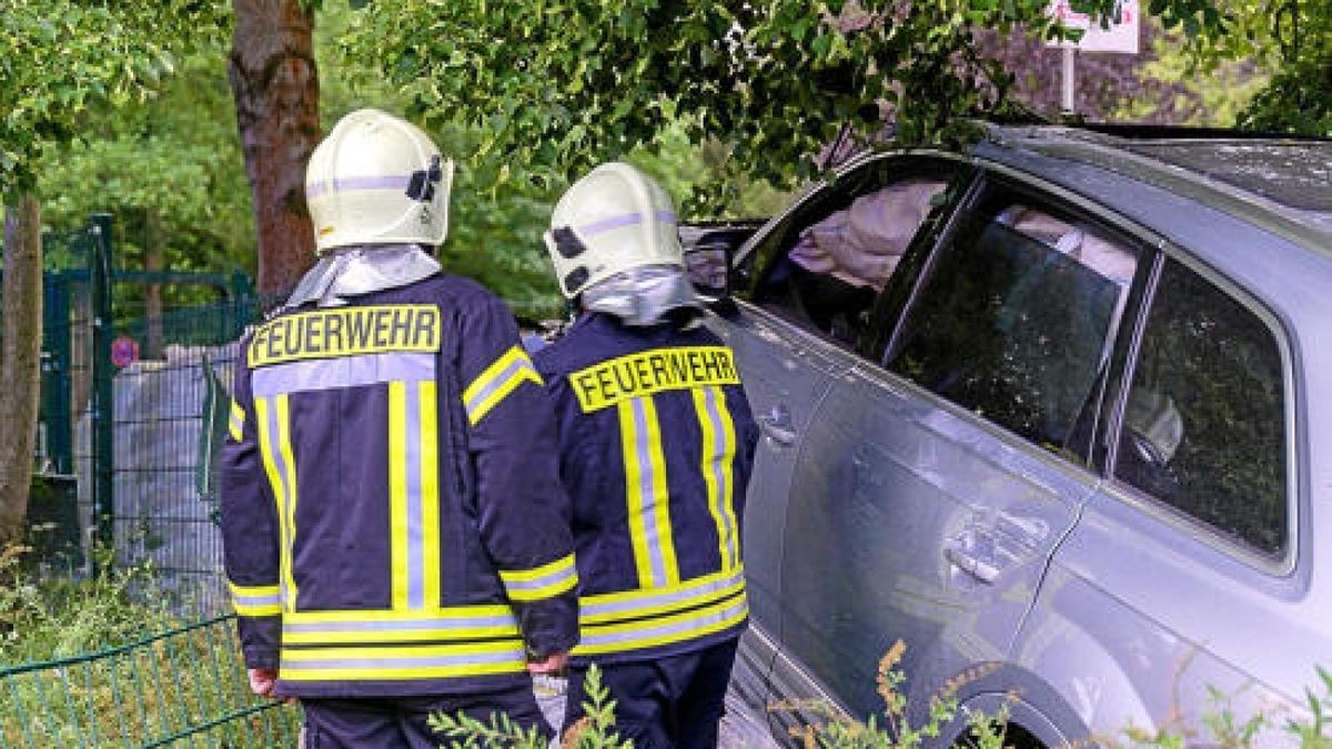 Ein Audi-Fahrer ist Donnerstagabend stadtauswärts aus der Kurve geflogen, über den Fußweg gerast und erst, nachdem er über Hecken und Beete gefahren war, zum Stehen gekommen. Der Mann hatte über 2 Promille Alkohol im Blut. Foto: Stefan Eberhardt