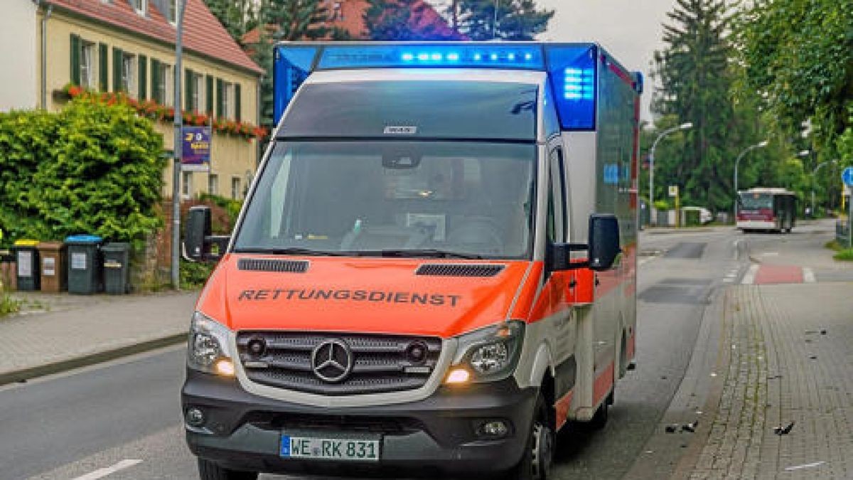 Ein Audi-Fahrer ist Donnerstagabend stadtauswärts aus der Kurve geflogen, über den Fußweg gerast und erst, nachdem er über Hecken und Beete gefahren war, zum Stehen gekommen. Der Mann hatte über 2 Promille Alkohol im Blut. Foto: Stefan Eberhardt