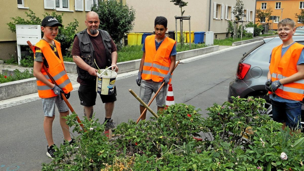 Inett und Vivien aus der Weißenseer Regelschule sind jetzt zertifizierte Freiwillige (oben links). Mit Betriebshofmitarbeiter Mario Schumaier rücken Otto Javier und Jannic in der Kölledaer Bebel-Straße dem Unkraut auf die Pelle (unten links),