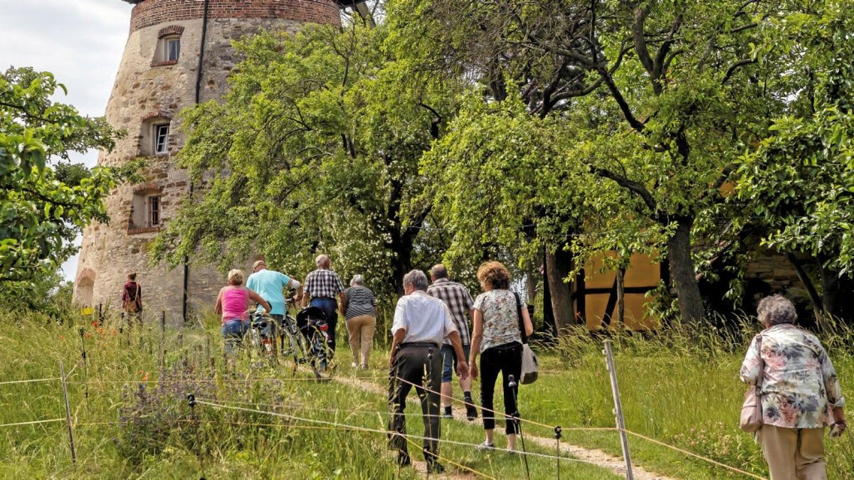 Wanderung zur Altenbeichlinger Windmühle. Reinhard Herb und seine Helfer hatten alles bestens vorbereitet.