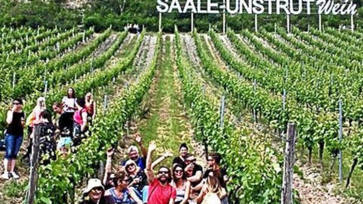 Weinselige Stimmung auf dem WeinbergFoto: I. Müller