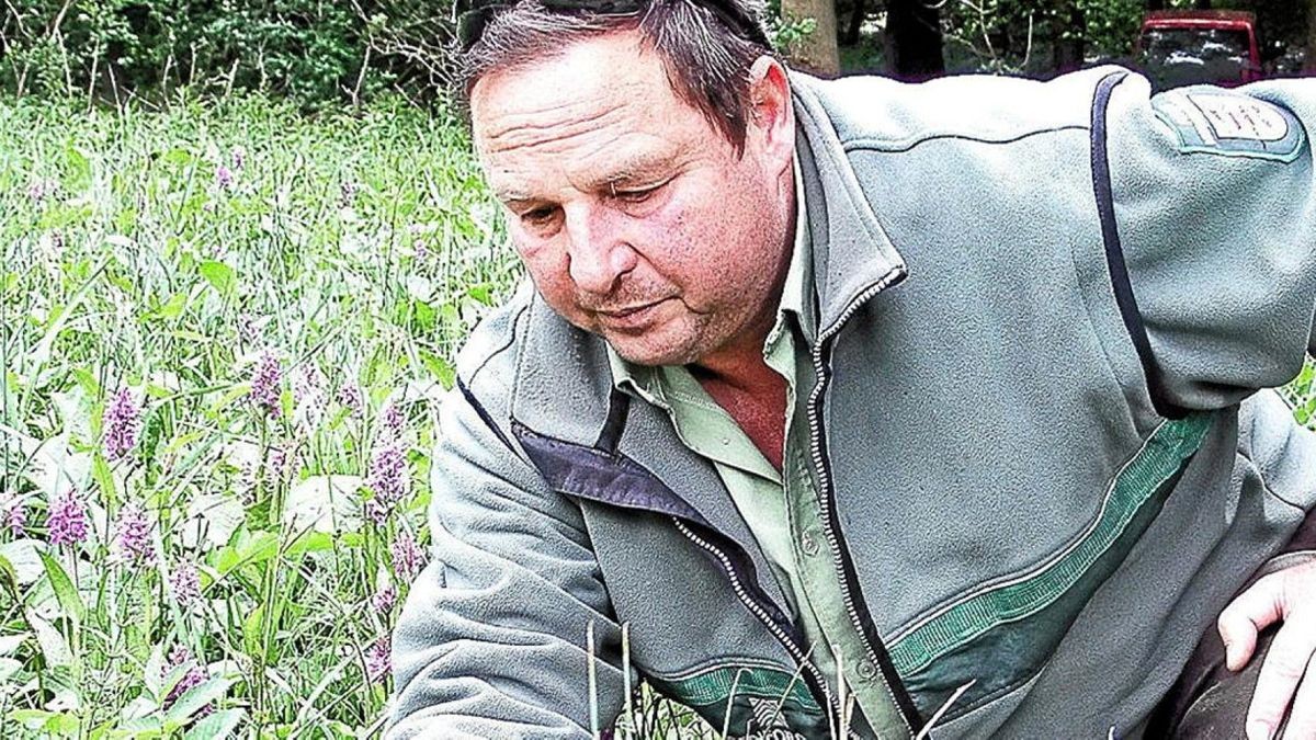 Forstamt Jena-Holzland zieht sich aus Pflegearbeiten zurück