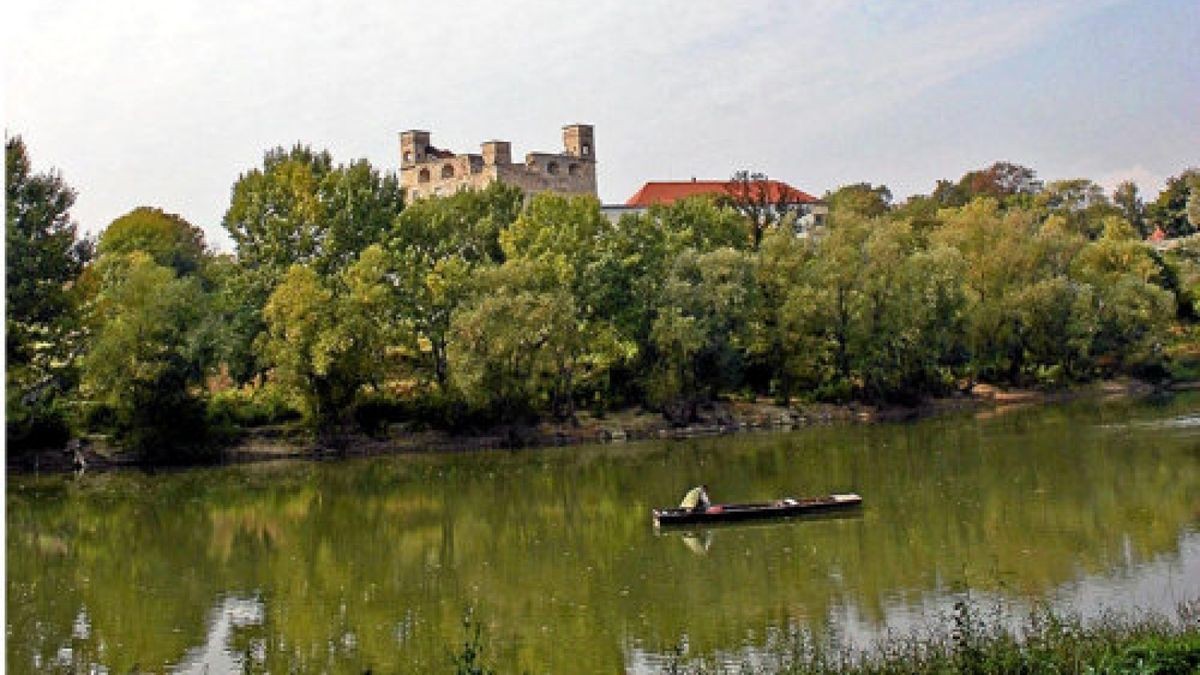 In der nordungarischen Stadt Sárospatak (hier der Blick über den Bodrog-Fluß zur Rákóczi-Burg) wurde Elisabeth 1207 geborenFoto: privat