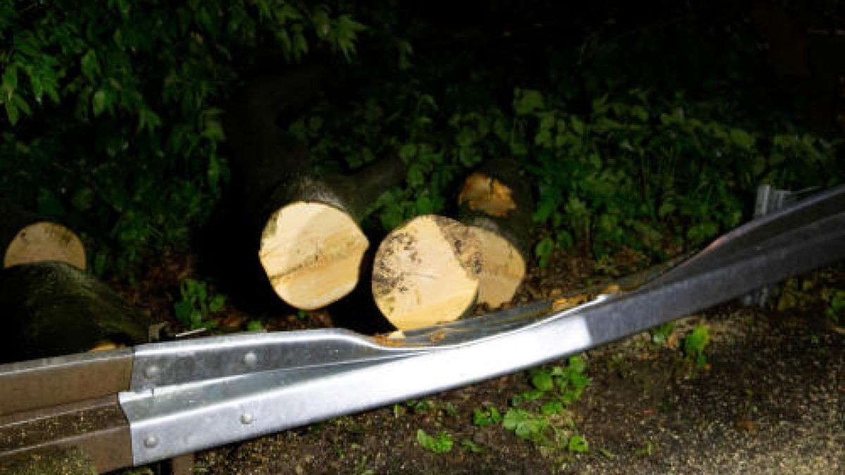 Ein umgestürzter Baum wurde zur Gefahr für eine Autofahrerin, die am Abend zwischen Schnepfenthal und Friedrichroda unterwegs war. Foto: News5/Schuchardt