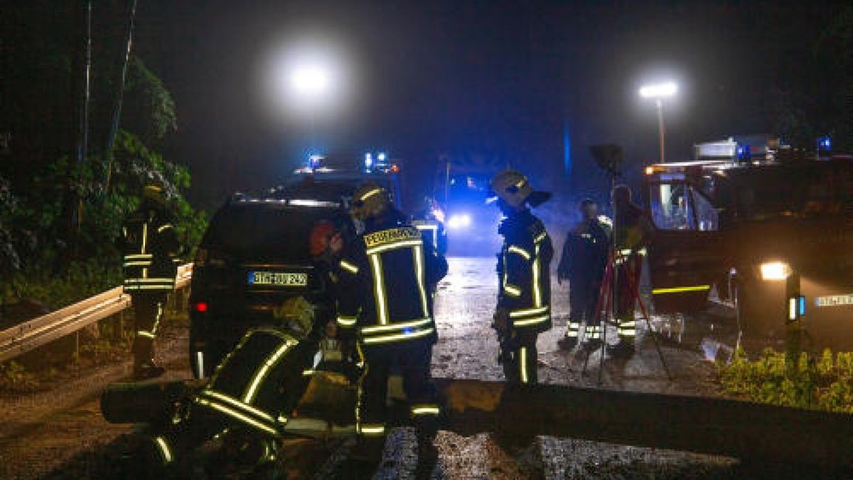 Ihr Auto wurde dabei stark beschädigt. Die Feuerwehr musste den entwurzelten Baum zersägen und von der Straße schaffen. Foto: News5/Schuchardt