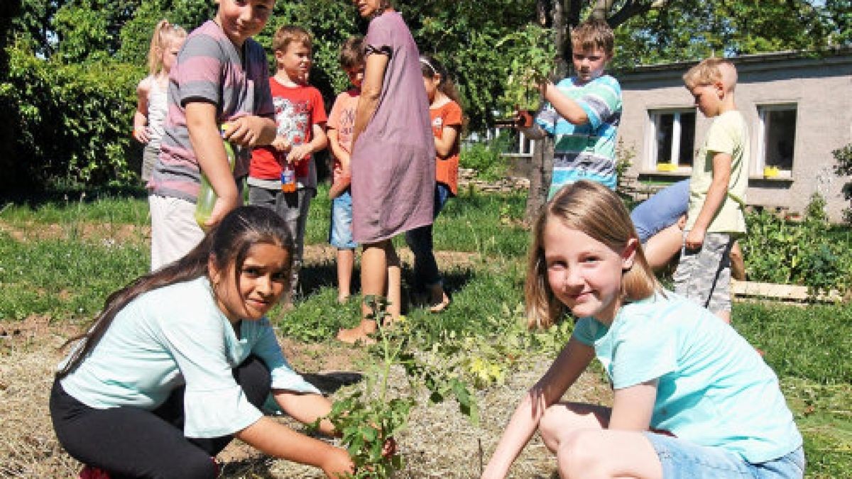 Ackercoach Anett Kirchbichler  pflanzte mit Schülern der  Grundschule Hohenebra  Tomaten und andere Gemüsesorten im Schulgarten. Celine (rechts) und Yara aus der  2. Klasse  setzen die Pflänzchen in die mulchbedeckten Beete.Foto: Timo Götz