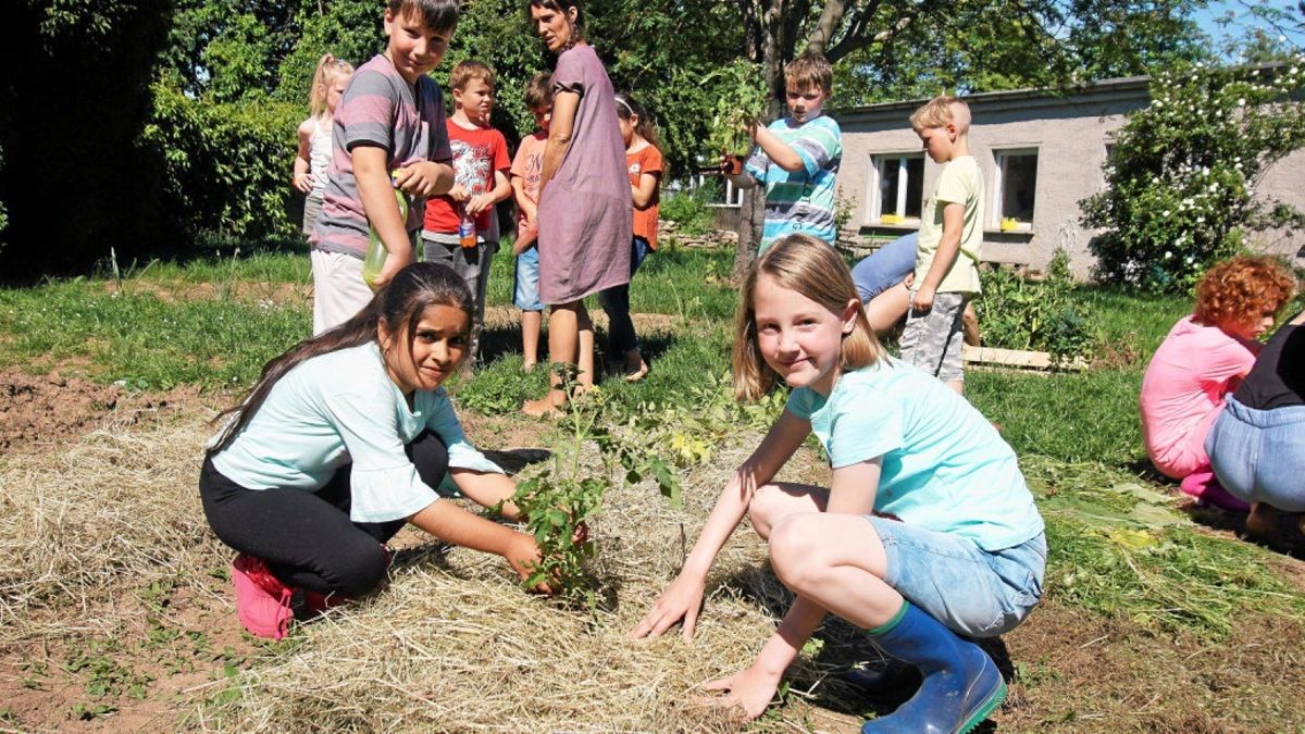 Ackercoach Anett Kirchbichler  pflanzte mit Schülern der  Grundschule Hohenebra  Tomaten und andere Gemüsesorten im Schulgarten. Celine (rechts) und Yara aus der  2. Klasse  setzen die Pflänzchen in die mulchbedeckten Beete.