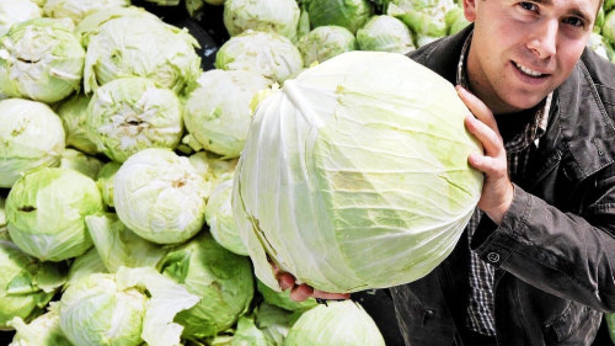 Joachim Schweizer, Junior-Chef der Sauerkonservenfabrik in Großengottern, lässt in seinem Betrieb pro Jahr über 10.000 Tonnen Weißkohl verarbeiten. Dieses Jahr wird erstmals kein Kohl aus Großengottern dabei sein, kritisiert er. Foto: Daniel Volkmann