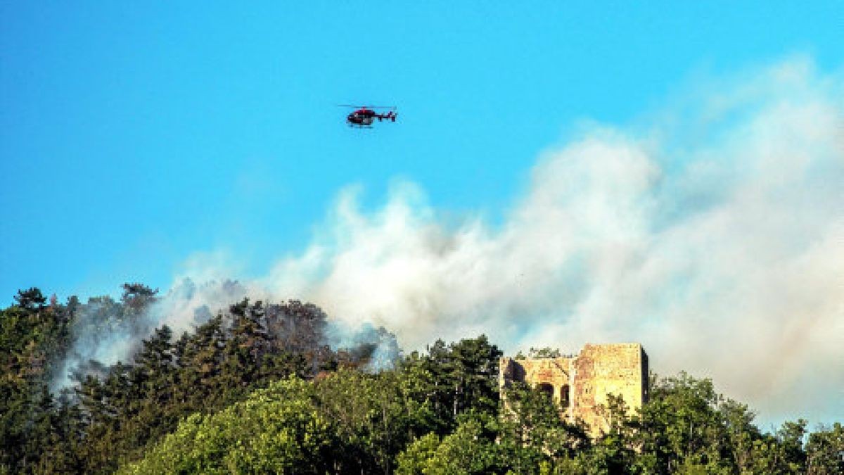 15/06/2019-Jena: Waldbrand nahe der Lobdeburg bei Jena ausgebrochen. (Foto: Sascha Fromm / Thueringer Allgemeine)Foto: Sascha Fromm