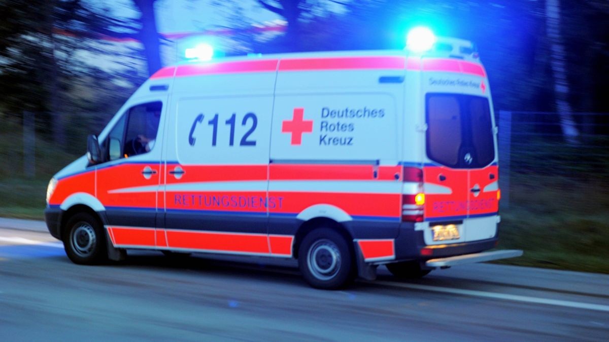 Per Rettungsdienst wurde der 18-Jährige nach dem Hundebiss ins Krankenhaus gebracht. Archiv-