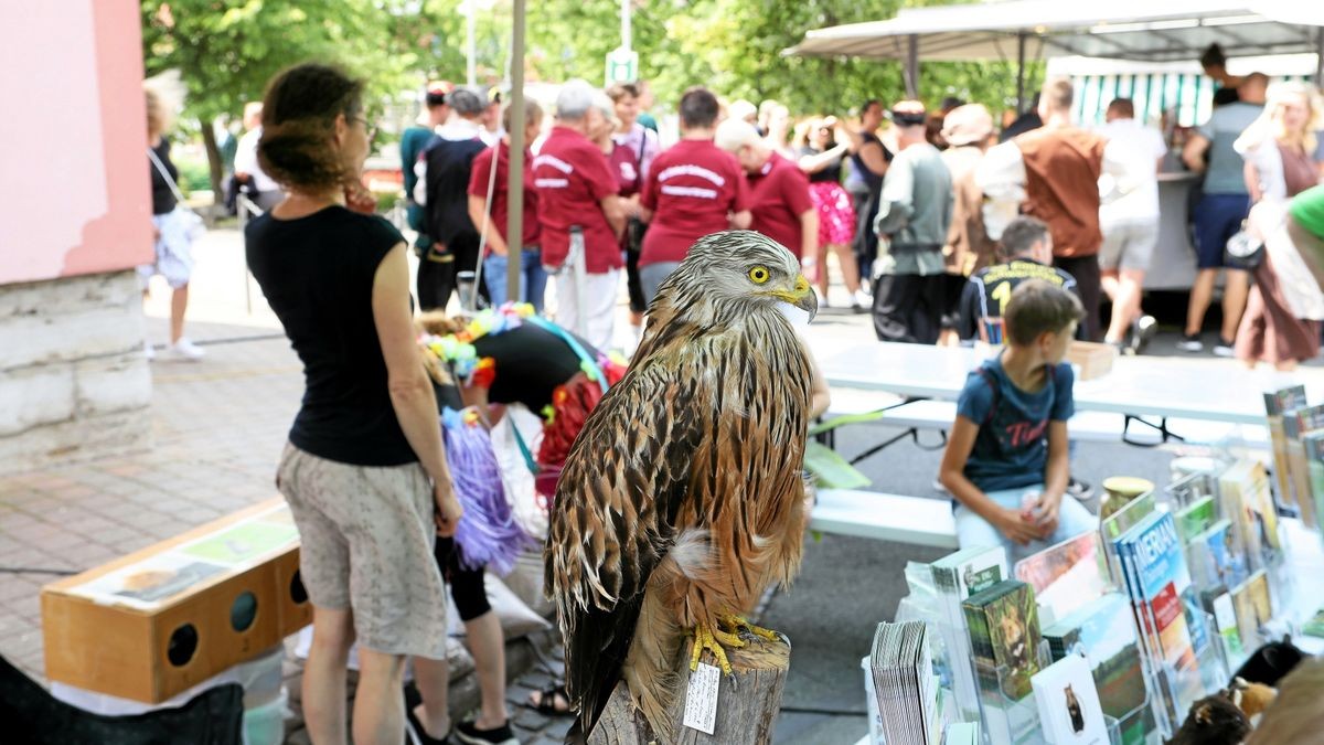 Weitere Höhepunkte der Festivitäten waren ein Chortreffen in der Kirche und ein Familiennachmittag am Sonntag.