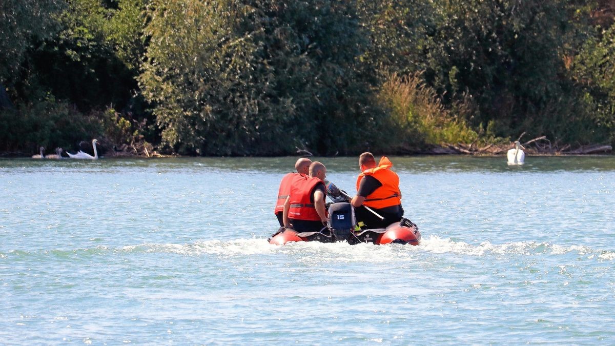 Die Feuerwehren aus Stotternheim, Nöda und Großrudestedt mussten am Montag zum Alperstedter See ausrücken. Ein Schwan war in Not geraten, am Hals war er mit einem Anglerhaken verletzt worden.