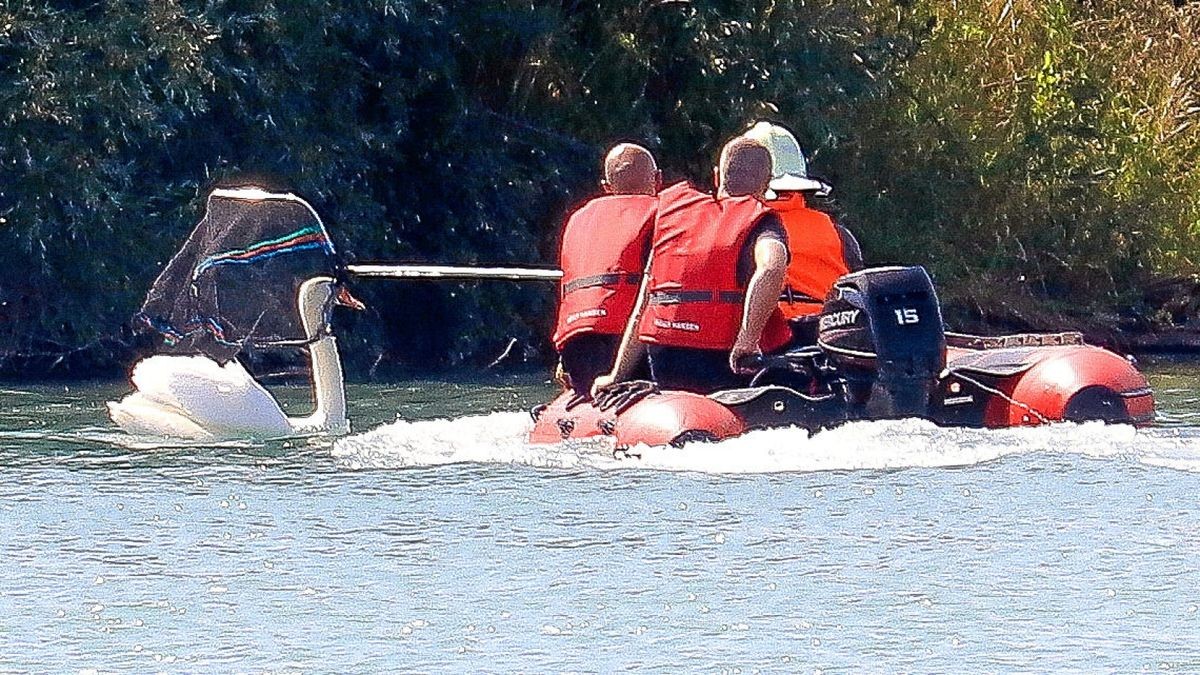 Die Feuerwehrleute benötigten mehrere Anläufe, um den Schwan letztendlich einzufangen.