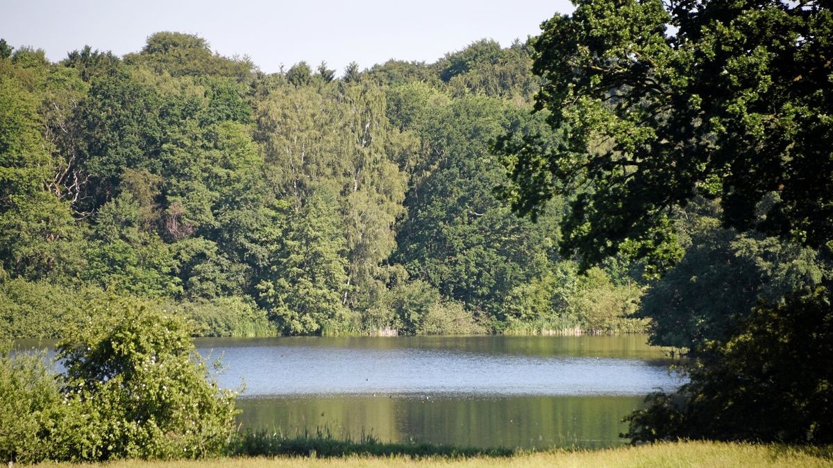 : Blick auf einen Teich im Landschaftsschutzgebiet Hoisdorfer Teiche. Hier ertrank der Junge.