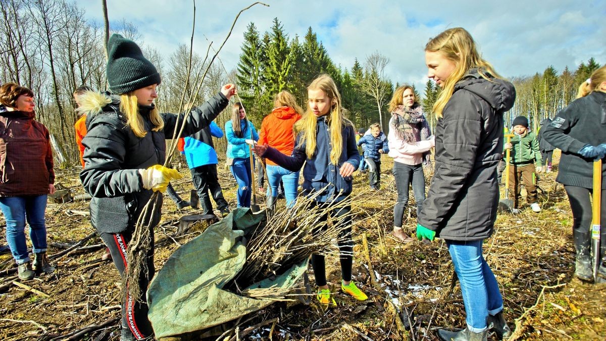 IM Stadtwald nahe Eigenrode gab es im März eine große Aufforstungsaktion mit Schülern der Regelschule „Unstruttal.“ Archiv-