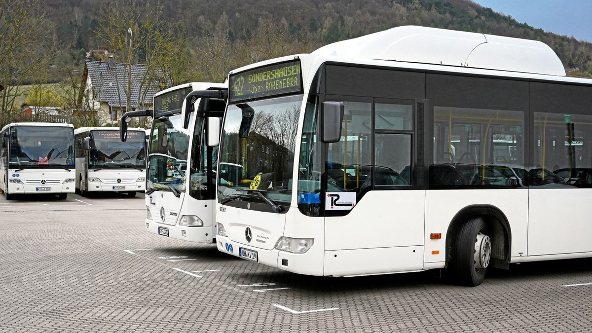 Die Busse der Regionalbusgesellschaft fahren auf elf Stadt- und 39 Regionallinien.