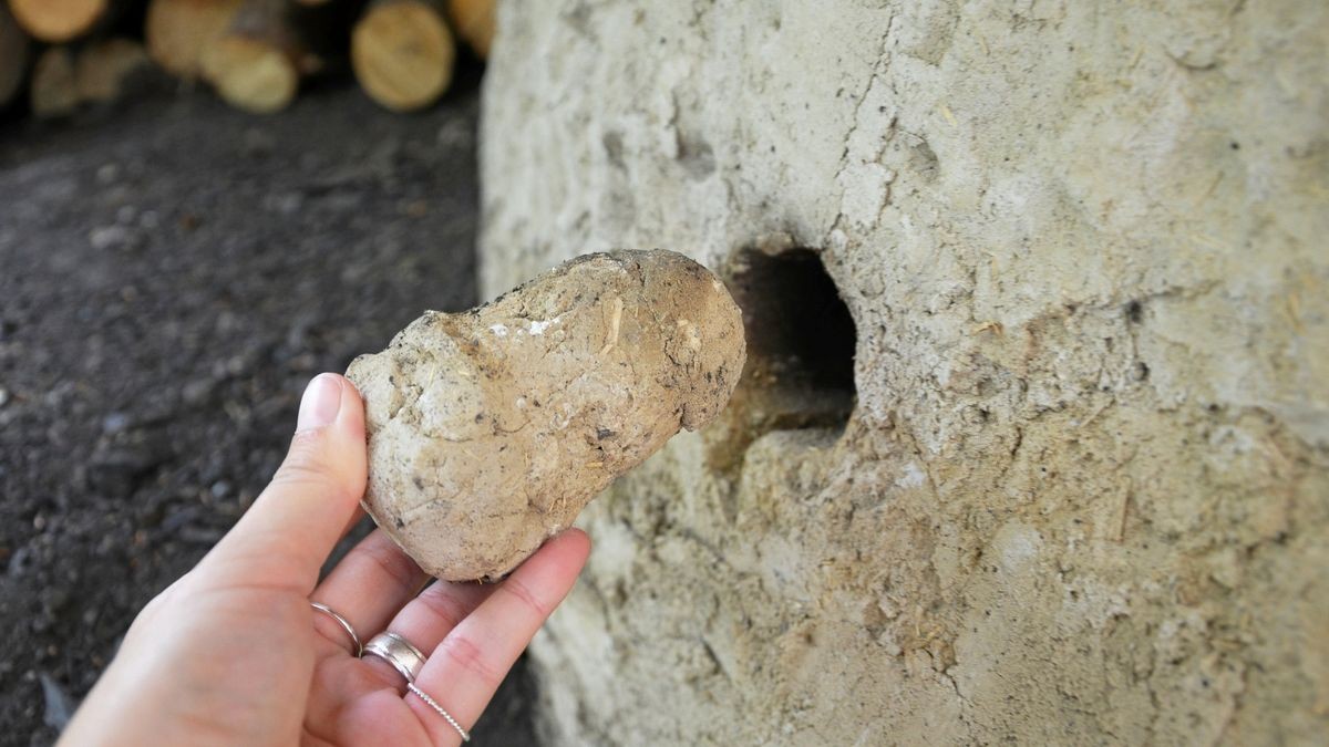 Über verschiedene Düsen kann die Temperatur im Inneren gesteuert werden. Während des Versuchs wird genau gemessen.