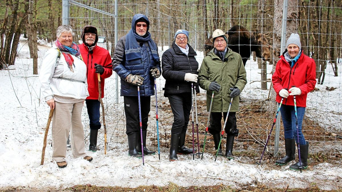 In Kanada besuchten die Senioren unter anderem auch ein Elchgehege.