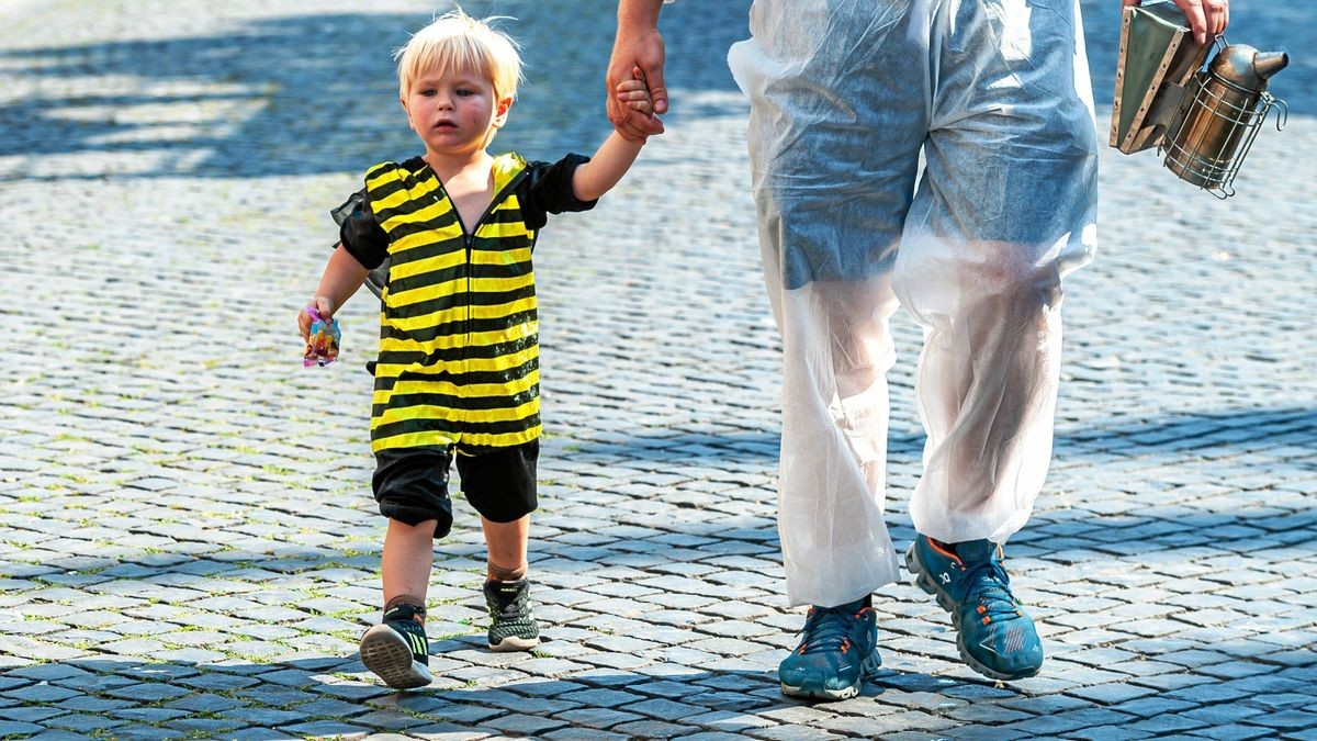 25/08/2019 - Mühlhausen: Umzug zur 142. Mühlhäuser Stadtkirmes / (