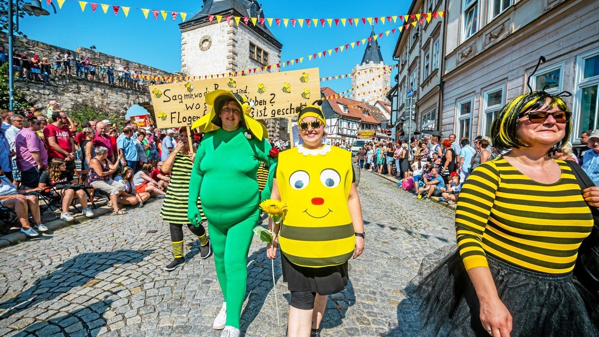 25/08/2019 - Mühlhausen: Umzug zur 142. Mühlhäuser Stadtkirmes / Arbeiterwohlfahrt (