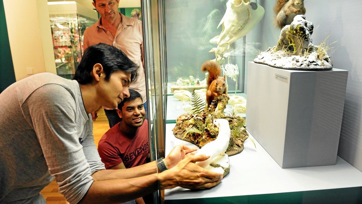 Biologen aus Bangladesch während ihrer Ausbildung im Naturkundemuseum in Erfurt.