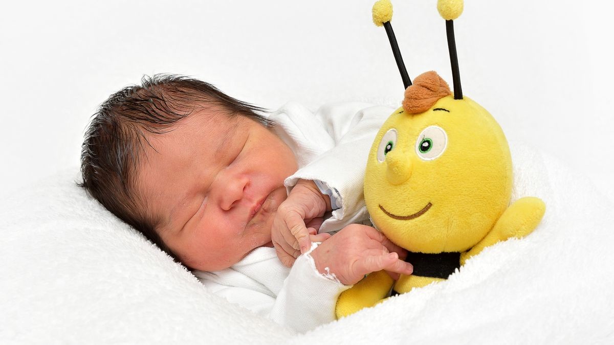 Willi Frey kam am 29.08. um 11:27 Uhr zur Welt. Er wog 3480 g und war 52 cm groß. Seine Eltern Luisa Frey und Mark Balbierer aus Ilmenau sind sehr glücklich.