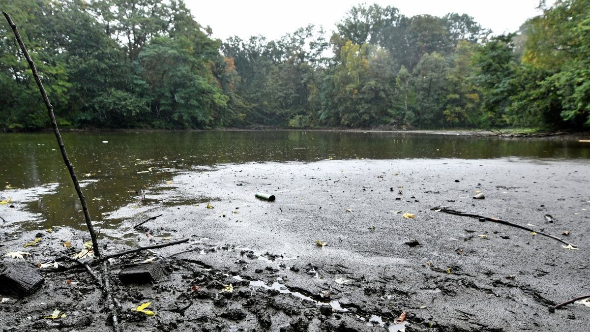 Im Revierpark Vonderort fällt der große Teich trocken